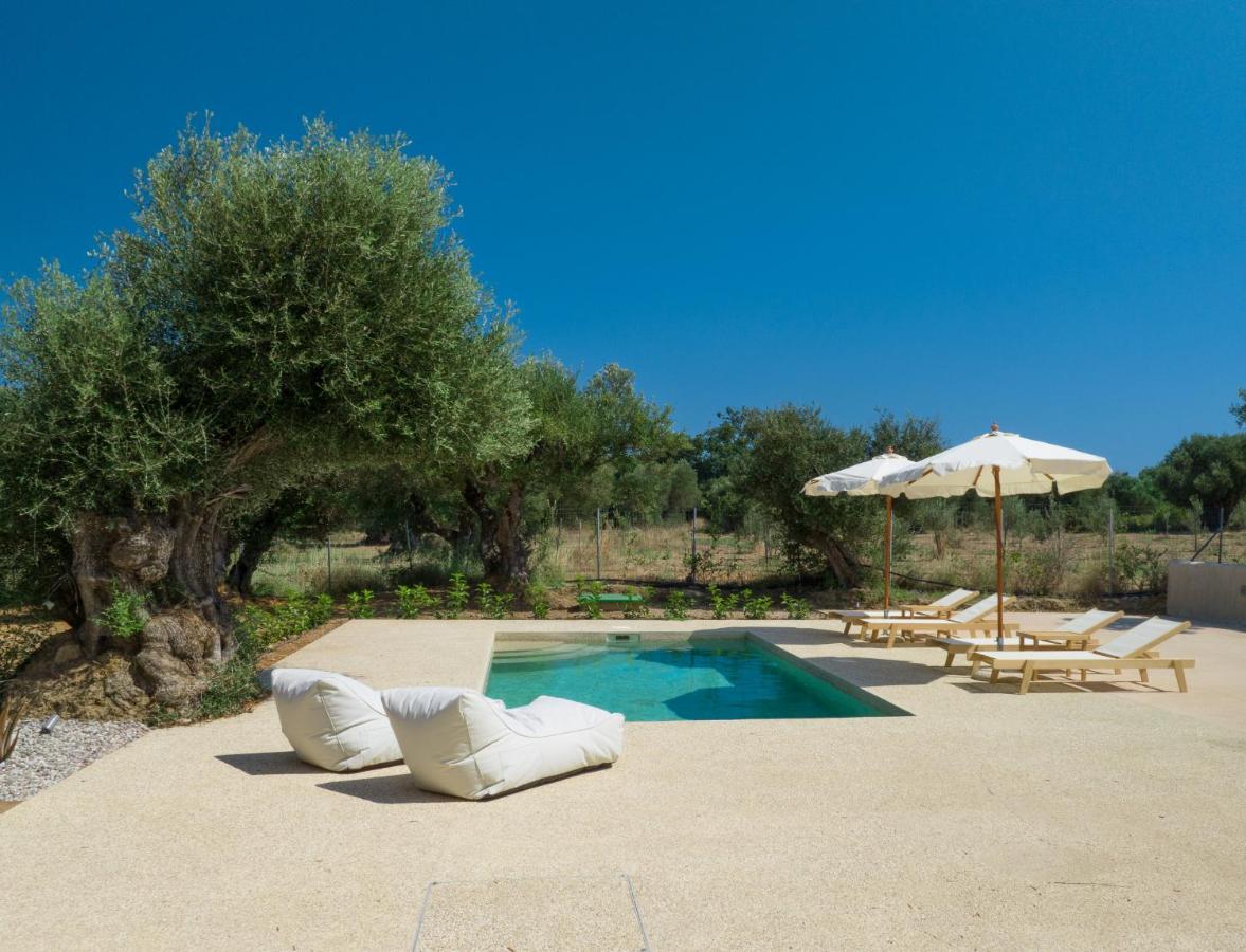 Terra Oleana Cottages Vasilikí المظهر الخارجي الصورة